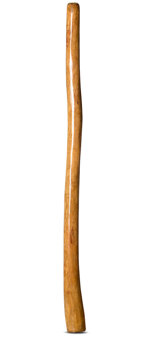 Gloss Finish Didgeridoo (TW848)